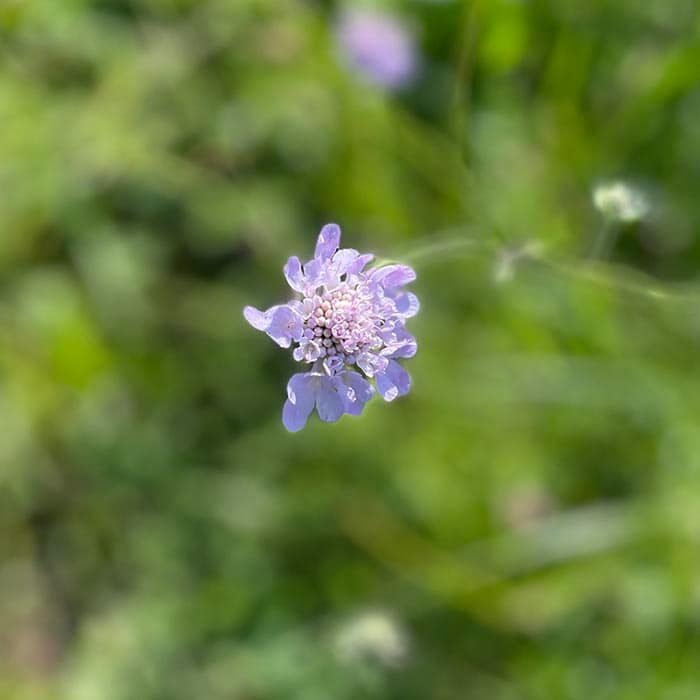 Psykolog Hillerød - Sensitivitet