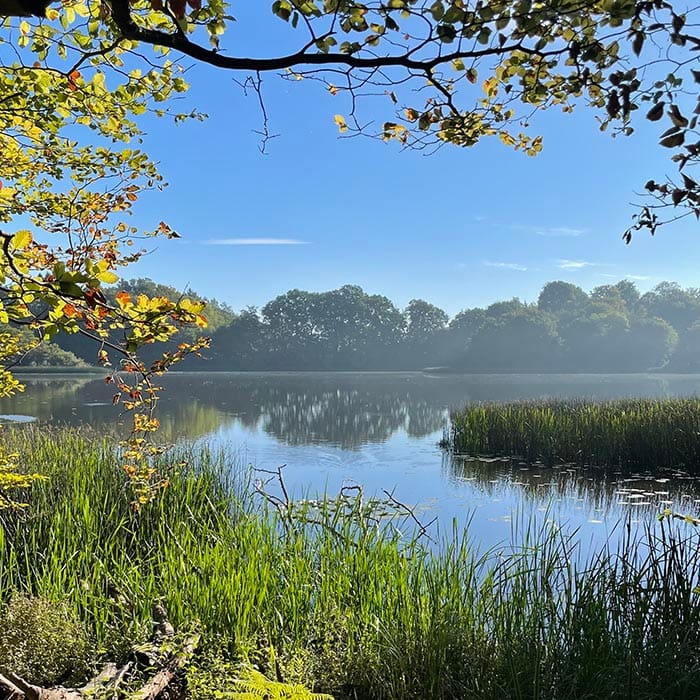 Psykologhjaelp Til Unge Psykolog Hilleroed Tusse Sidenius Img 0501