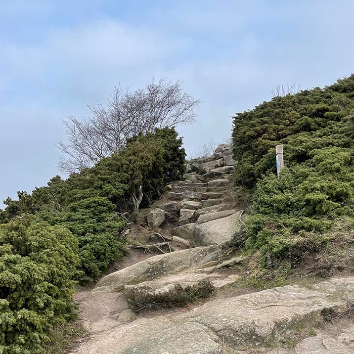 Psykolog Eksamensangst Praestationsangst Hillerød