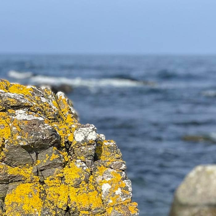 Psykolog Eksamensangst Praestationsangst Hillerød