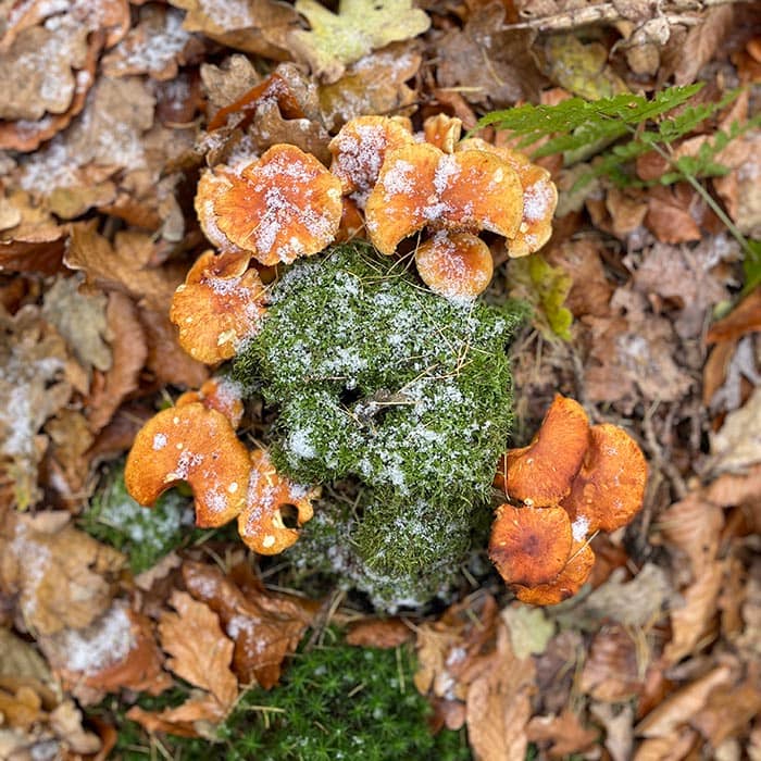 Psykolog Hillerød - Terapi ubalance