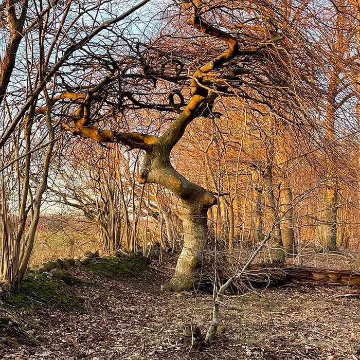 Psykolog Hillerød - Terapi ubalance