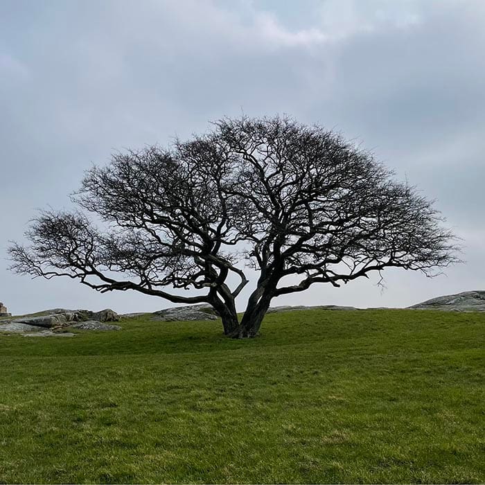 Psykolog Erhvervsdrivende Hilleroed Img 2117