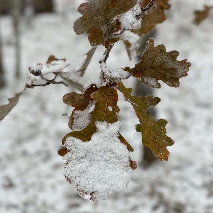 Psykolog Hillerød Stress