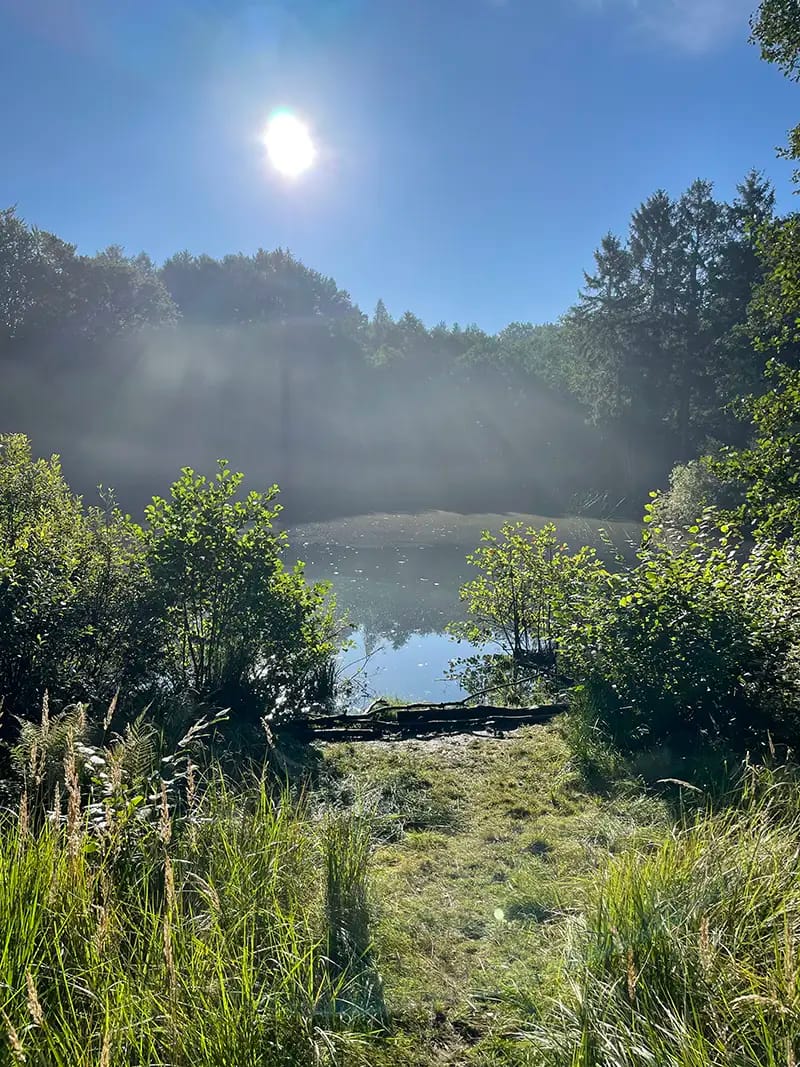 Psykolog Hilleroed Unge Tusse Img 0495