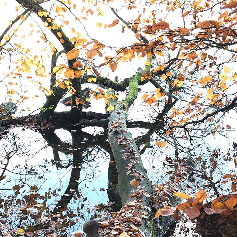 Psykolog Hillerød Personlig Udvikling