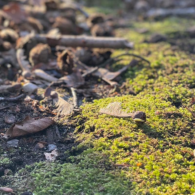 Psykolog Hillerød Personlig Udvikling