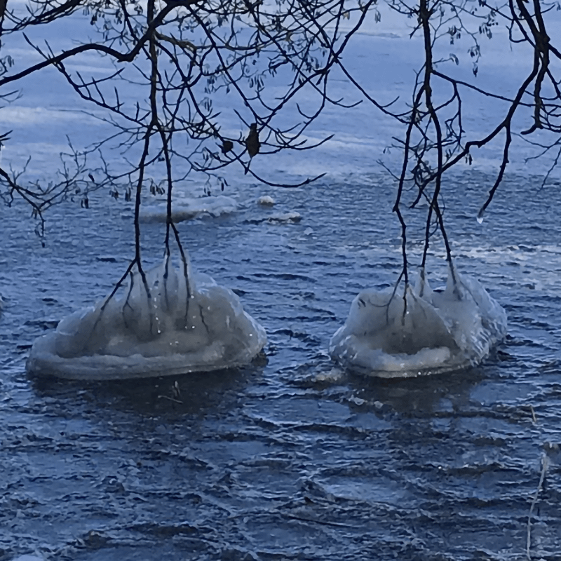 Psykolog Hillerød Tankemylder