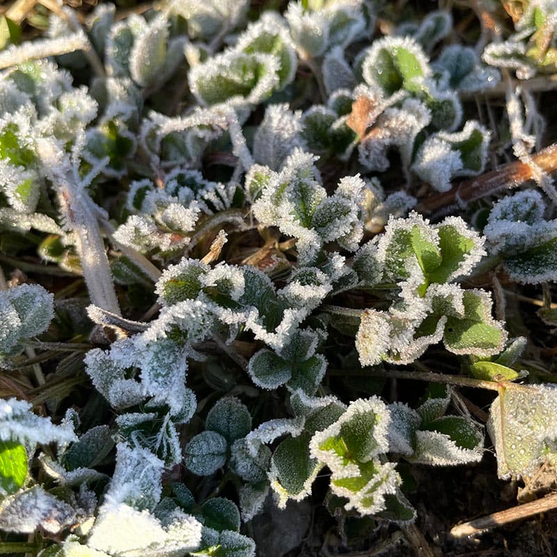 Psykolog Hillerød - Krise hjælp