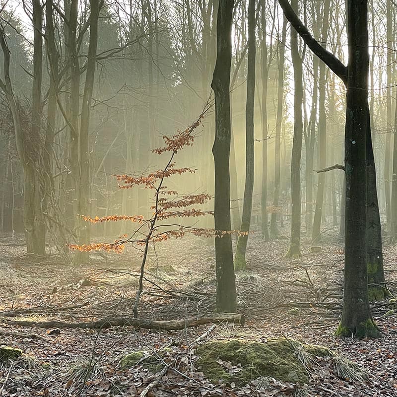 Psykolog Hillerød - Krise hjælp