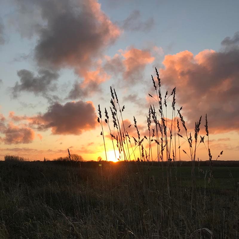 Psykologhjælp til voksne i Hillerød